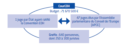 La Cour Européenne Des Droits De L'homme, Protectrice Critiquée Des ...