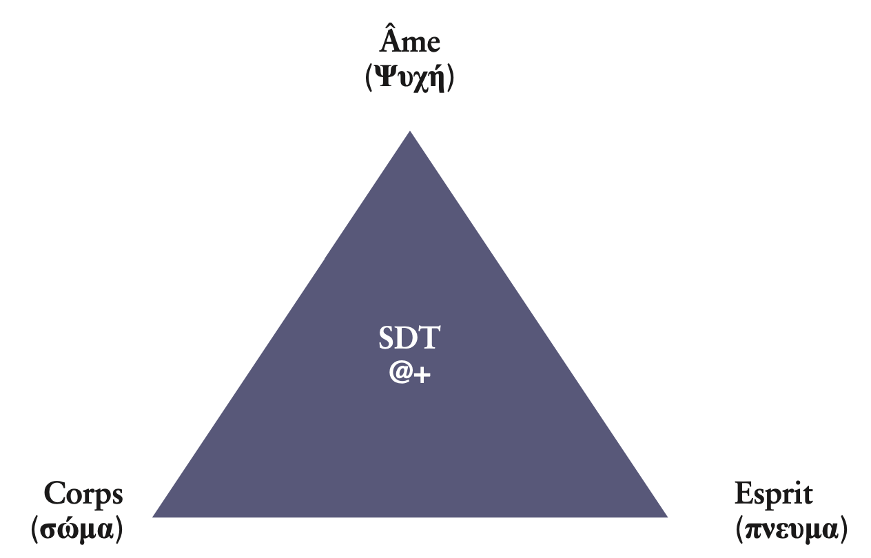 Le soldat augmenté : regards croisés sur l'augmentation des performances du  soldat - Fondapol