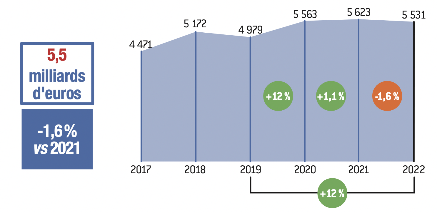 Graphique: Streaming vidéo : le potentiel demeure important